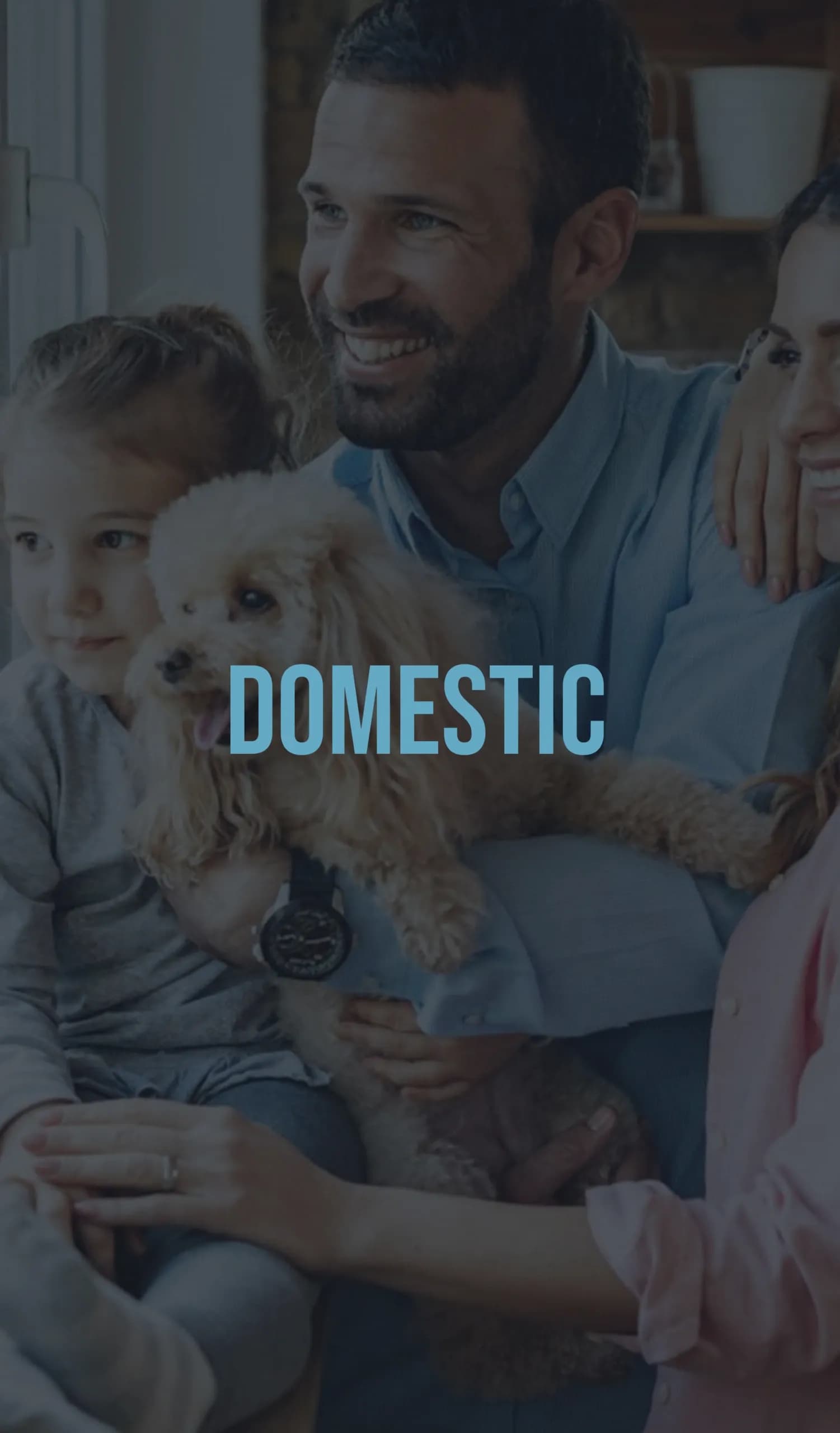 DOMESTIC FUEL